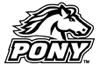 Pony